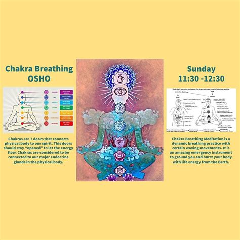 脈輪呼吸|OSHO Chakra Breathing Meditation